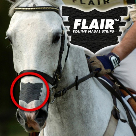 Rehut ja lisäravinteet Flair Equine Nasal Strips nenäteipit